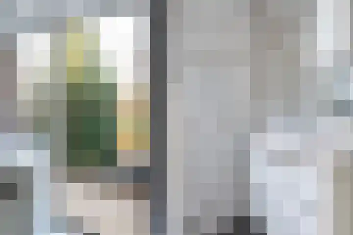 Willem de Rijkelaan 22 Waddinxveen thumbnail 36