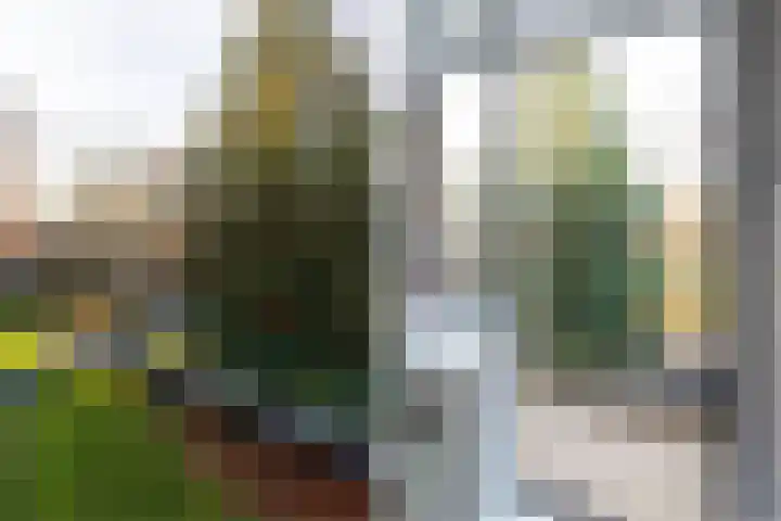 Willem de Rijkelaan 22 Waddinxveen thumbnail 37