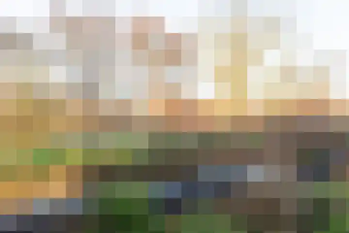 Willem de Rijkelaan 22 Waddinxveen thumbnail 40
