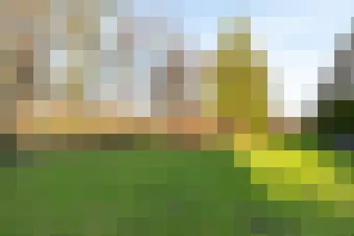 Willem de Rijkelaan 22 Waddinxveen thumbnail 41