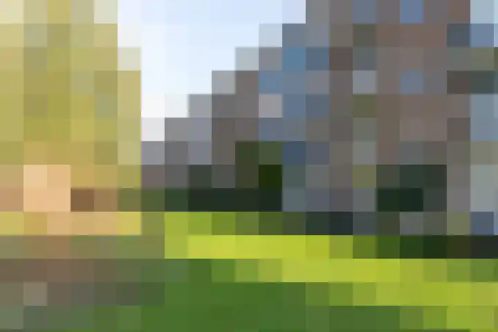 Willem de Rijkelaan 22 Waddinxveen thumbnail 42