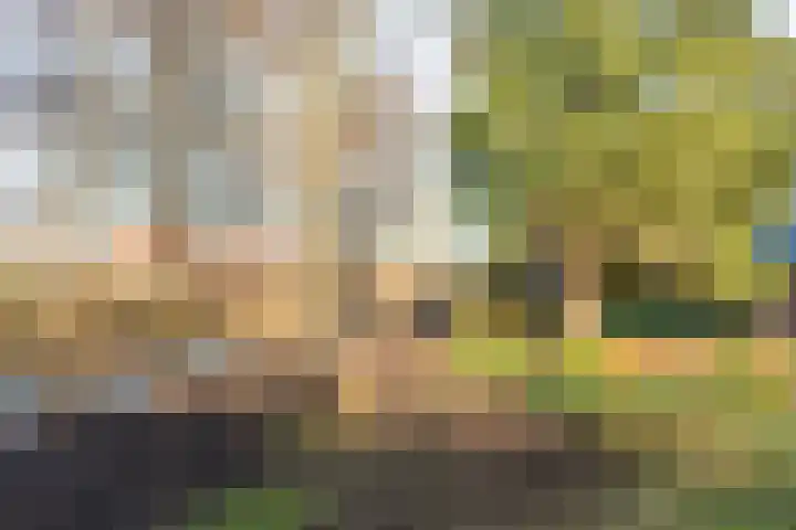 Willem de Rijkelaan 22 Waddinxveen thumbnail 43