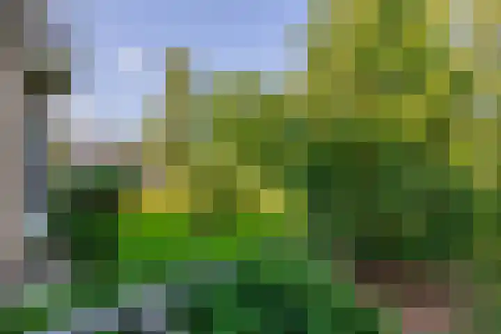 Willem de Rijkelaan 24 Waddinxveen thumbnail 10
