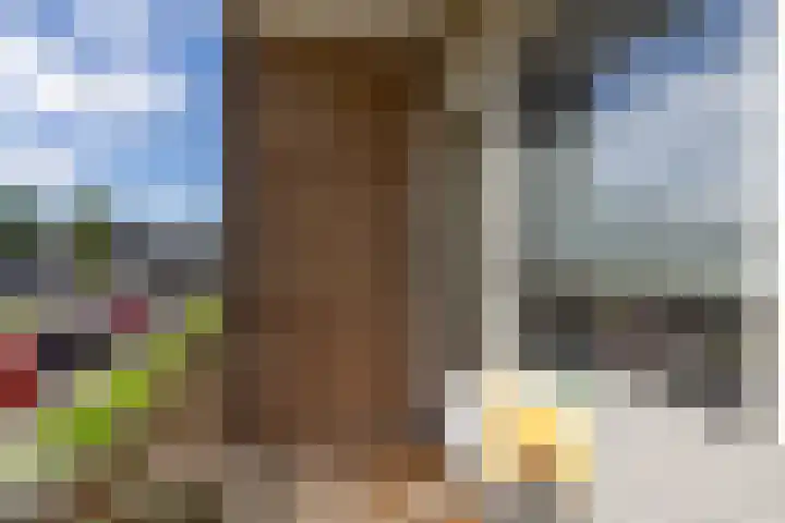 Willem de Rijkelaan 24 Waddinxveen thumbnail 15