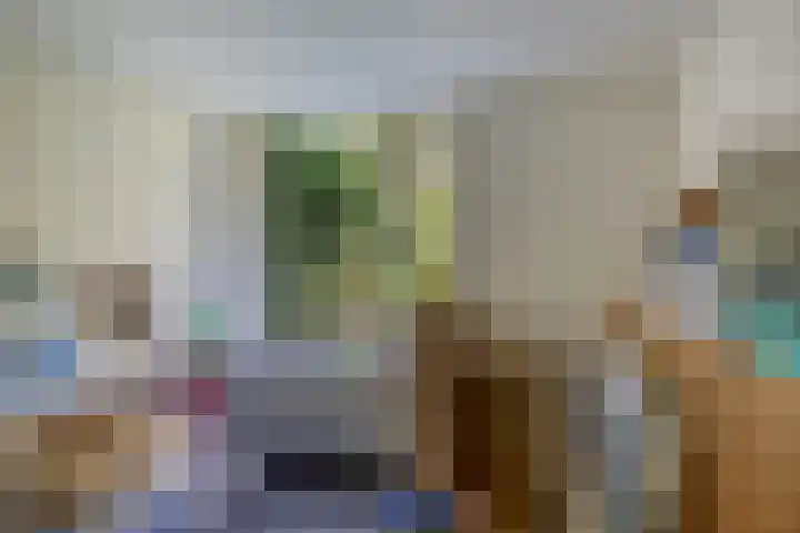 Willem de Rijkelaan 24 Waddinxveen thumbnail 21