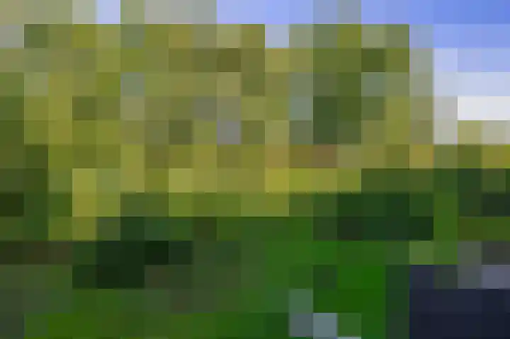 Willem de Rijkelaan 24 Waddinxveen thumbnail 30
