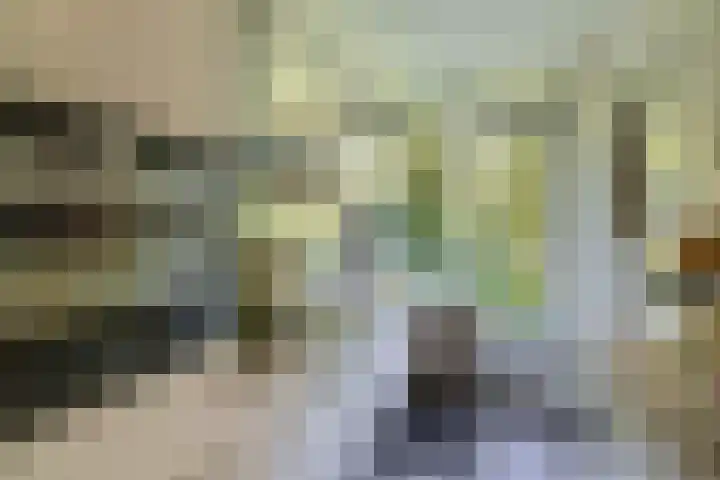 Willem de Rijkelaan 24 Waddinxveen thumbnail 7