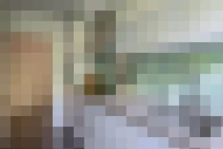 Willem de Rijkelaan 24 Waddinxveen thumbnail 8