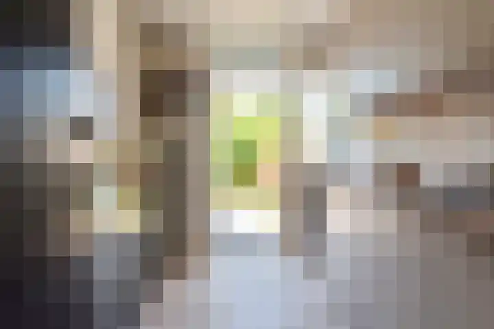 Willem de Rijkelaan 34 Hillegom thumbnail 13