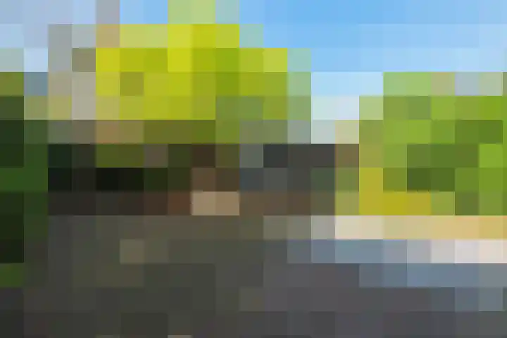 Willem de Rijkelaan 34 Hillegom thumbnail 16
