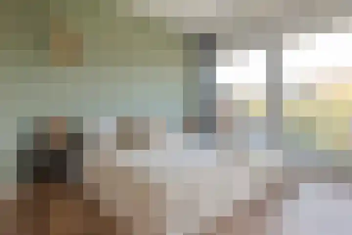 Willem de Rijkelaan 34 Hillegom thumbnail 20