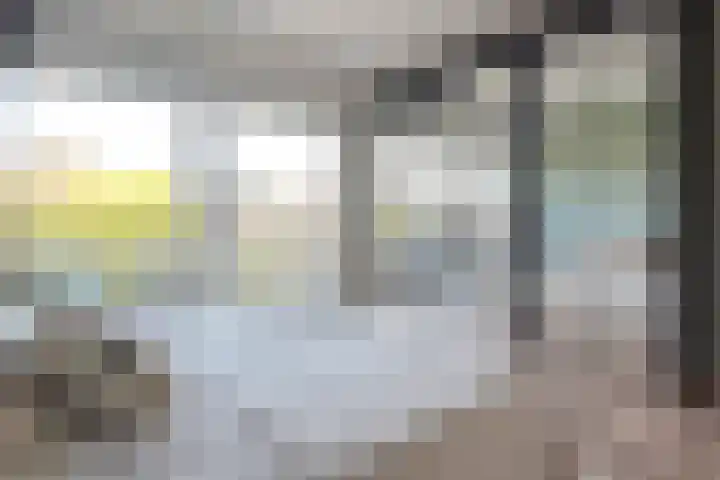 Willem de Rijkelaan 34 Hillegom thumbnail 21