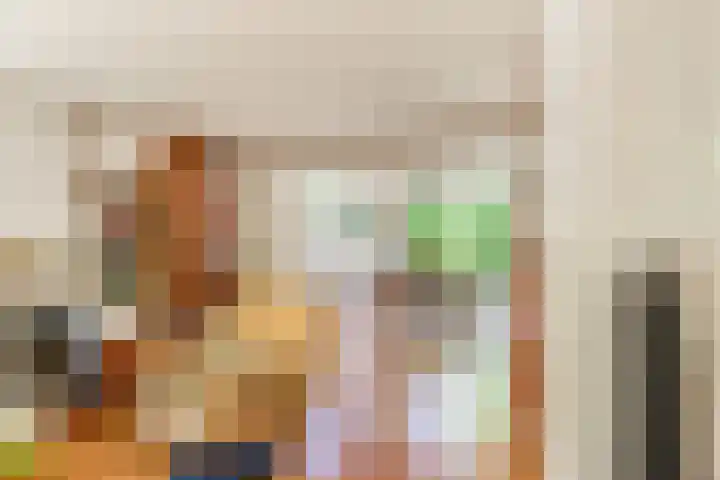 Willem de Rijkelaan 4 Castricum thumbnail 10