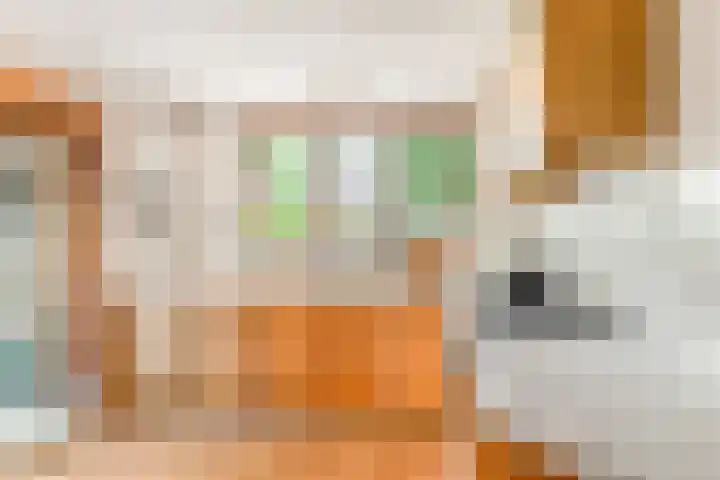 Willem de Rijkelaan 4 Castricum thumbnail 16