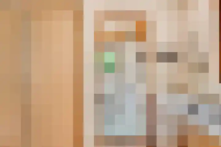 Willem de Rijkelaan 4 Castricum thumbnail 18