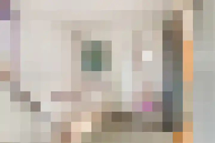 Willem de Rijkelaan 4 Castricum thumbnail 20