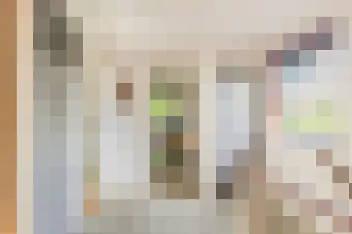 Willem de Rijkelaan 4 Castricum thumbnail 21