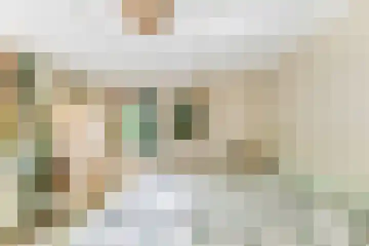 Willem de Rijkelaan 4 Castricum thumbnail 23