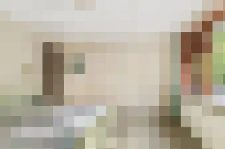 Willem de Rijkelaan 4 Castricum thumbnail 24