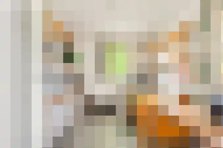 Willem de Rijkelaan 4 Castricum thumbnail 27
