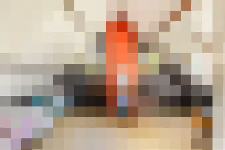 Willem de Rijkelaan 4 Castricum thumbnail 34
