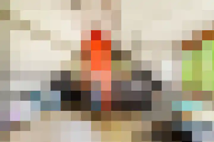 Willem de Rijkelaan 4 Castricum thumbnail 35
