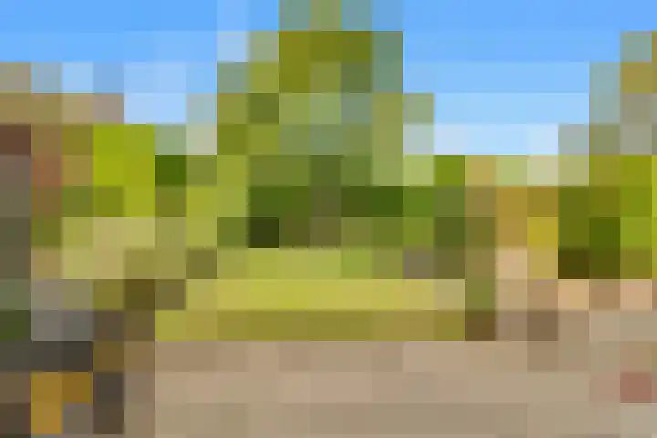 Willem de Rijkelaan 4 Castricum thumbnail 38