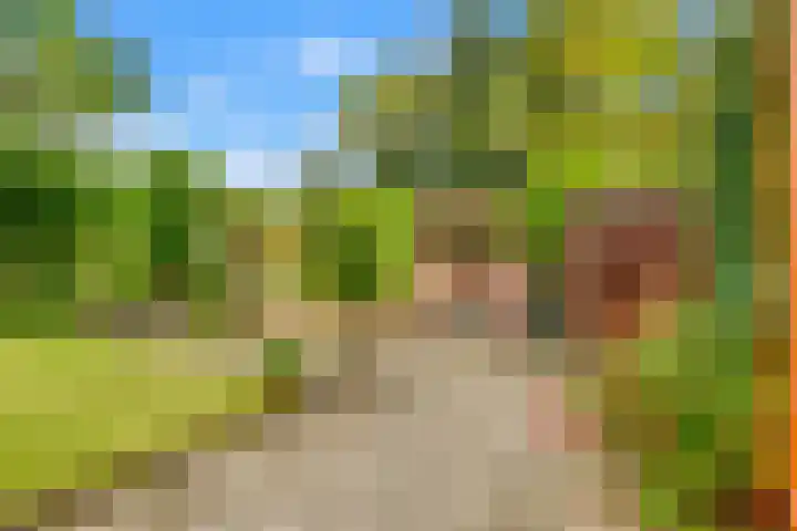 Willem de Rijkelaan 4 Castricum thumbnail 4