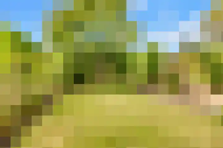 Willem de Rijkelaan 4 Castricum thumbnail 40