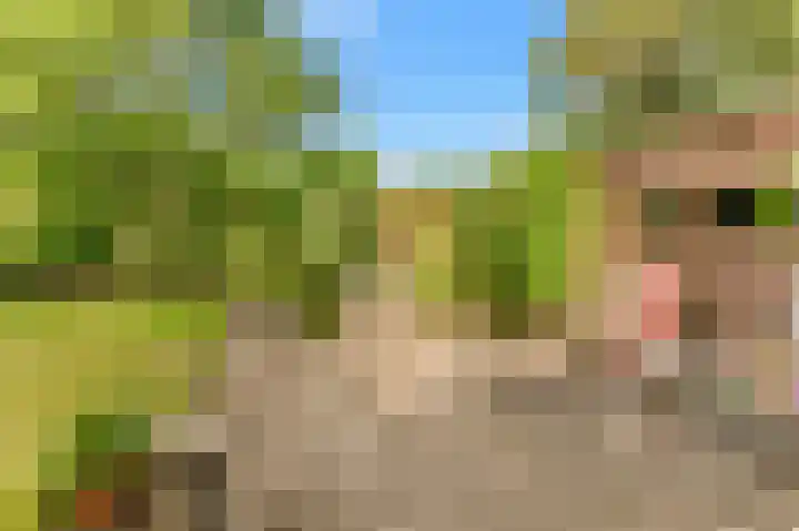 Willem de Rijkelaan 4 Castricum thumbnail 41