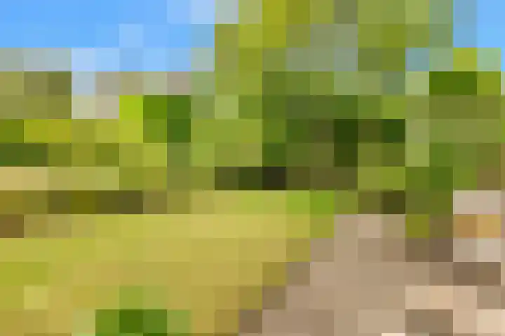 Willem de Rijkelaan 4 Castricum thumbnail 42
