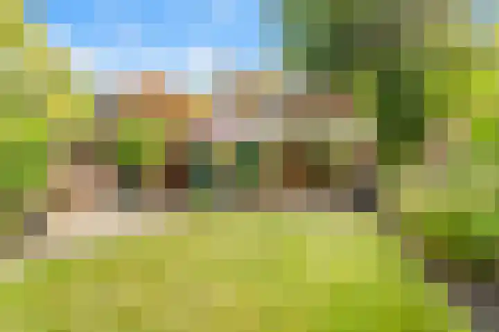 Willem de Rijkelaan 4 Castricum thumbnail 44
