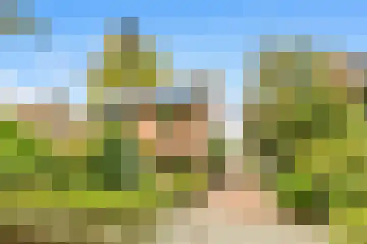 Willem de Rijkelaan 4 Castricum thumbnail 45