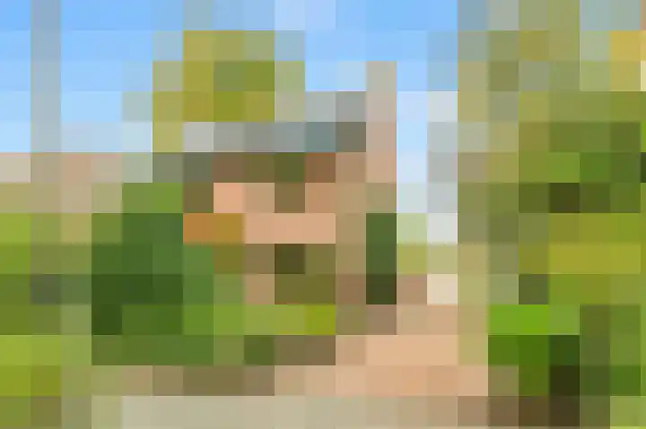 Willem de Rijkelaan 4 Castricum thumbnail 46