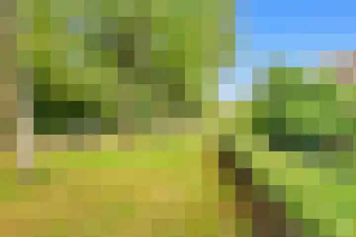 Willem de Rijkelaan 4 Castricum thumbnail 49