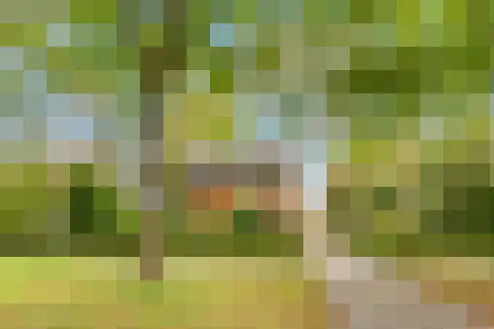 Willem de Rijkelaan 4 Castricum thumbnail 5