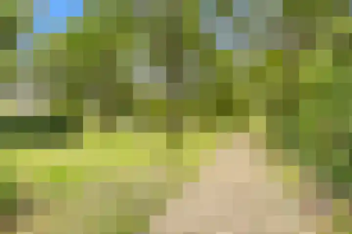 Willem de Rijkelaan 4 Castricum thumbnail 50