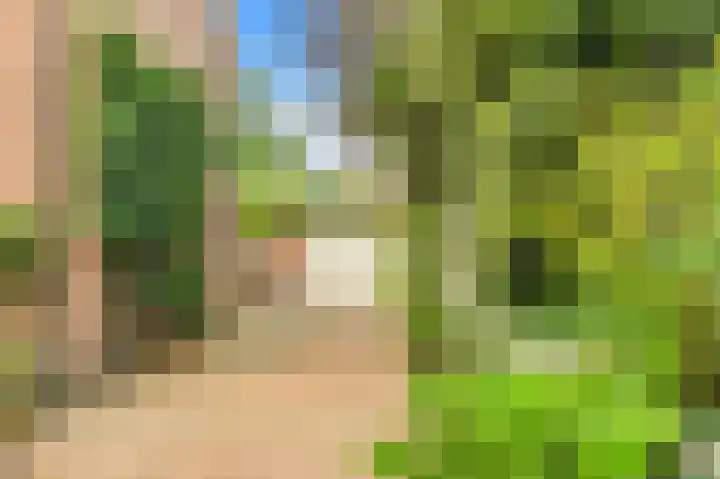 Willem de Rijkelaan 4 Castricum thumbnail 6