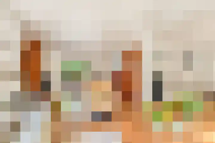Willem de Rijkelaan 4 Castricum thumbnail 8