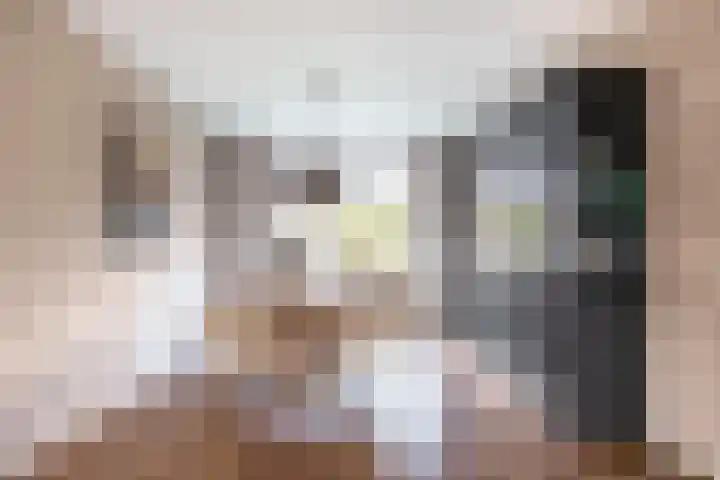 Willem de Rijkelaan 4 Waddinxveen thumbnail 11
