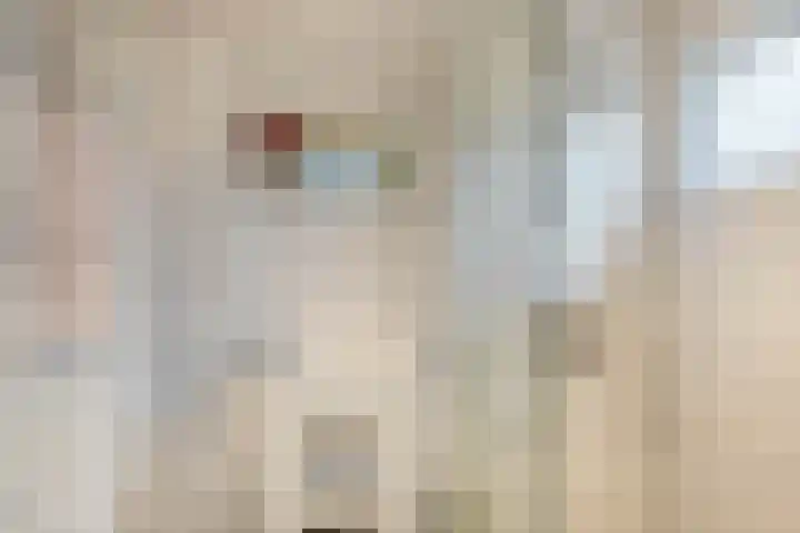 Willem de Rijkelaan 4 Waddinxveen thumbnail 22