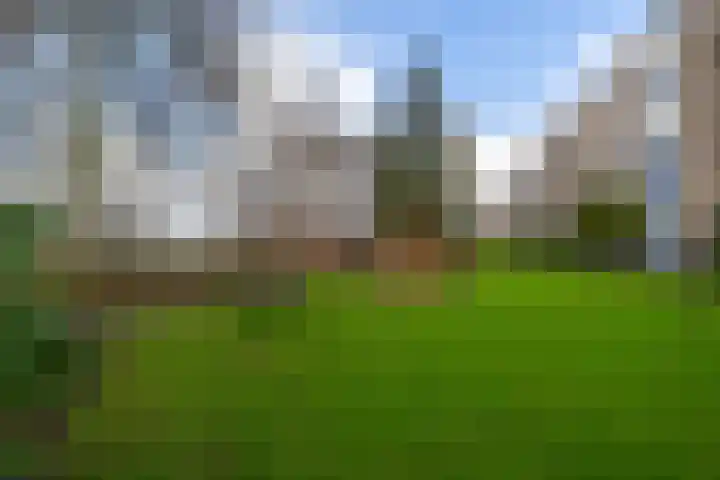 Willem de Rijkelaan 4 Waddinxveen thumbnail 26