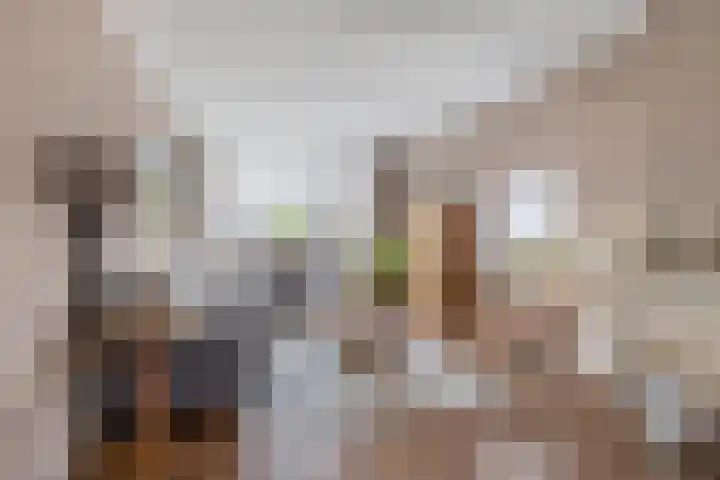 Willem de Rijkelaan 4 Waddinxveen thumbnail 9