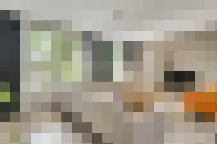 Willem de Rijkelaan 40 Eindhoven thumbnail 11