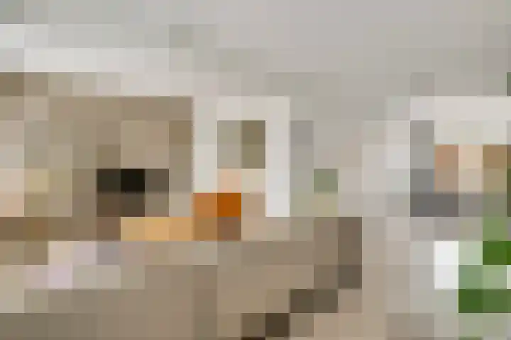 Willem de Rijkelaan 40 Eindhoven thumbnail 12