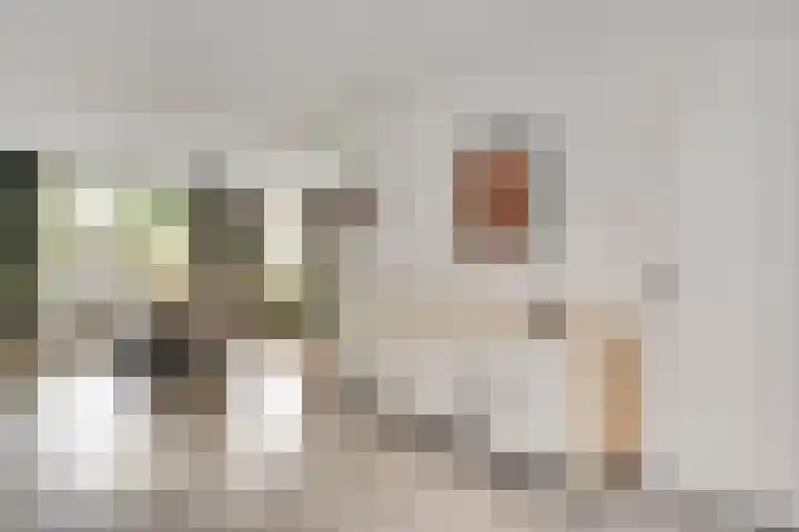 Willem de Rijkelaan 40 Eindhoven thumbnail 13