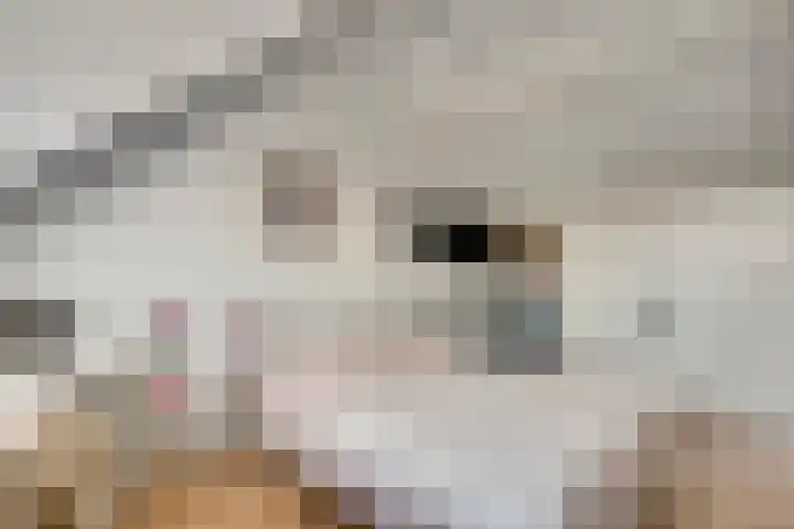 Willem de Rijkelaan 40 Eindhoven thumbnail 19