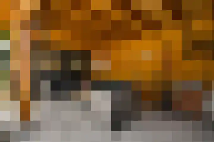 Willem de Rijkelaan 40 Eindhoven thumbnail 26