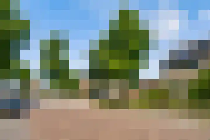 Willem de Rijkelaan 40 Eindhoven thumbnail 30