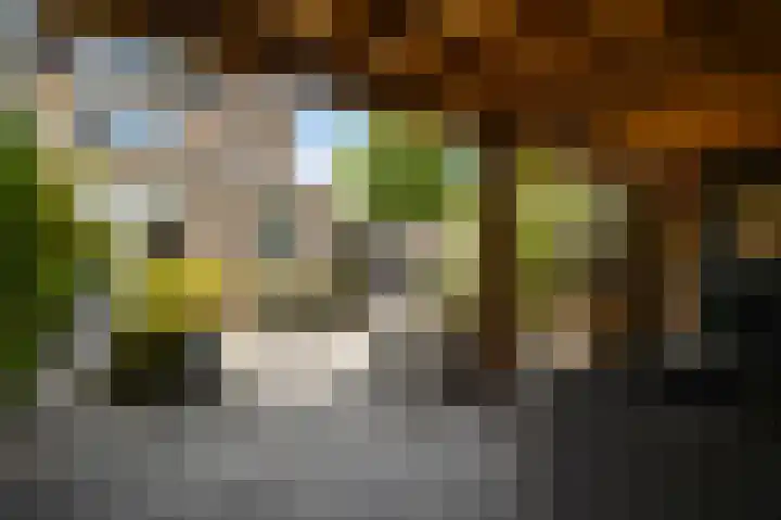 Willem de Rijkelaan 40 Eindhoven thumbnail 35